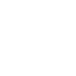 seo and content writing