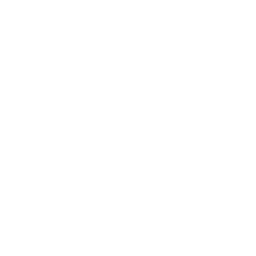 best ecommerce seo company