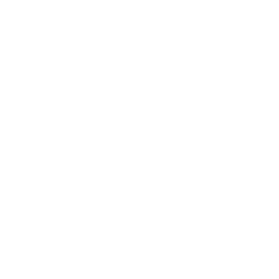 white label local seo