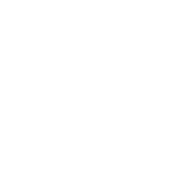 organic seo services usa