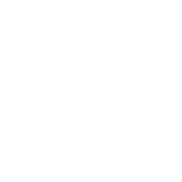 google business profile optimization