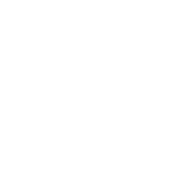 affordable ppc services