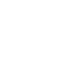 organic seo services usa