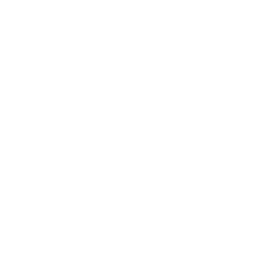 custom website development