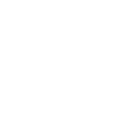 shopify seo services